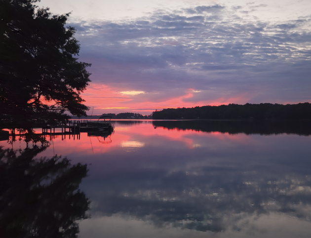 lake martin featured image